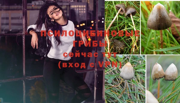гашиш Алексеевка