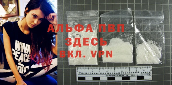 Альфа ПВП Новодвинск